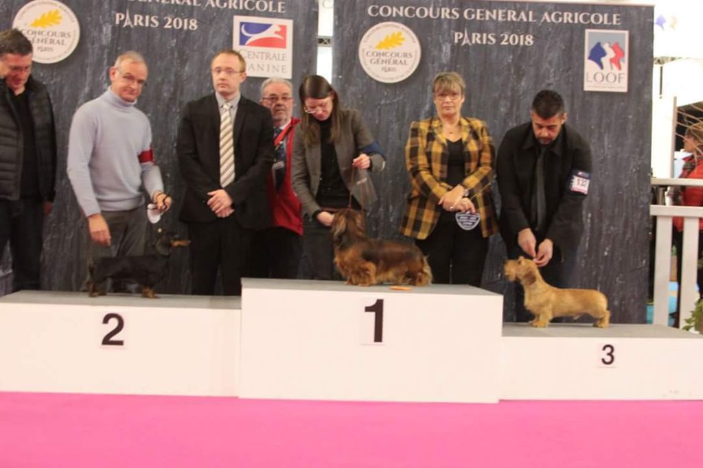 du temple d'eole - CONCOURS GENERAL AGRICOLE
